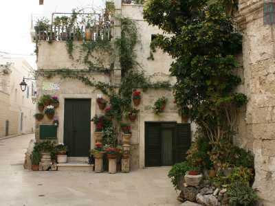 Quasi alla fine della strada ci stupiscono poi alcuni scorci da cartolina. Spuntano angoli decorati con fiori colorati...